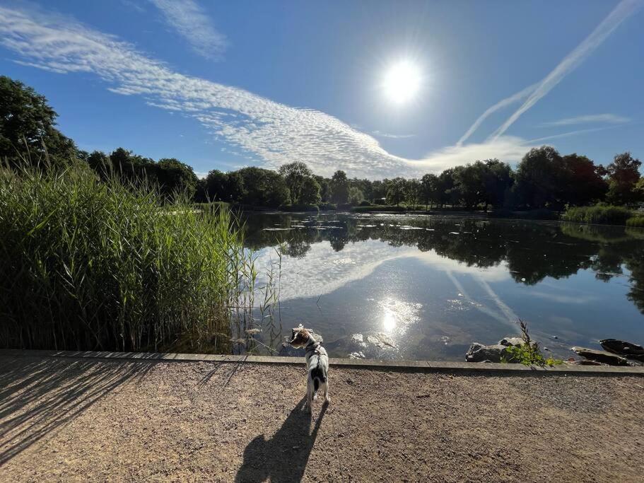 Ferienwohnung Am Glockensee Bad Laer Esterno foto